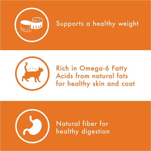 Nutro Wholesome Essentials Indoor Chicken & Brown Rice Recipe Adult Dry Cat Food