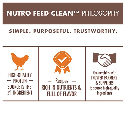 Nutro Wholesome Essentials Indoor Chicken & Brown Rice Recipe Adult Dry Cat Food