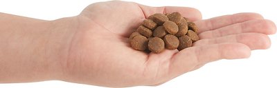 Acana Cat Food