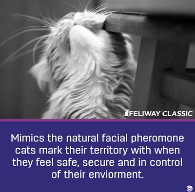 Feliway Classic 30 Day Starter Kit Calming Diffuser for Cats