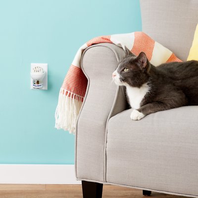 Feliway Classic 30 Day Starter Kit Calming Diffuser for Cats