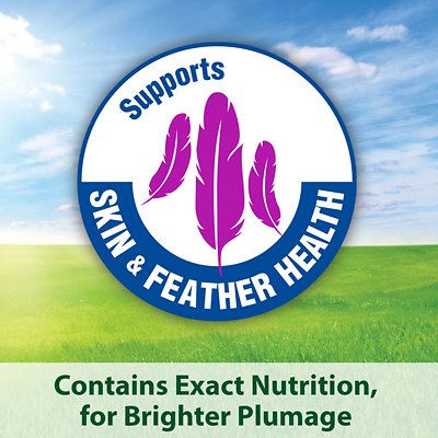 Kaytee Egg-Cite! Forti-Diet Pro Health Conure & Lovebird Food