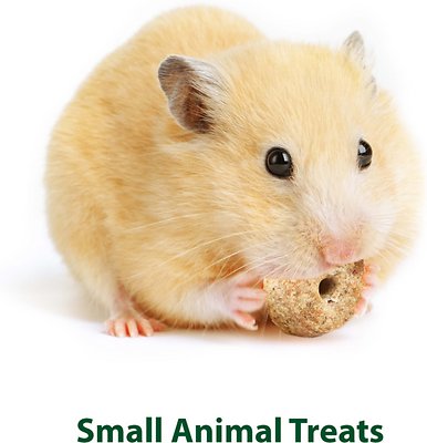 Kaytee Baked Apple Timothy Biscuit Small Animal Treats