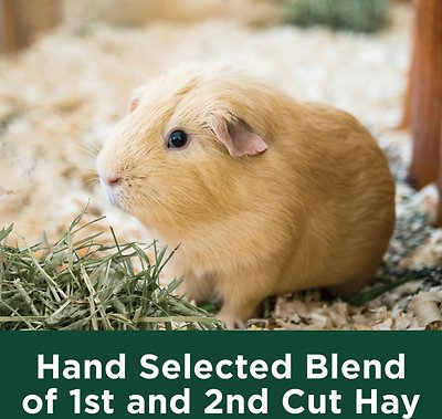 Kaytee Natural Timothy Hay Small Animal Food