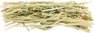 Oxbow Alfalfa Hay Small Animal Food