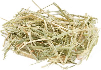 Oxbow Oat Hay Small Animal Food
