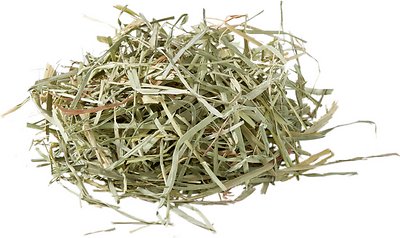 Oxbow Orchard Grass Hay Small Animal Food