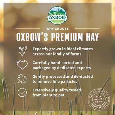 Oxbow Western Timothy Hay Small Animal Food