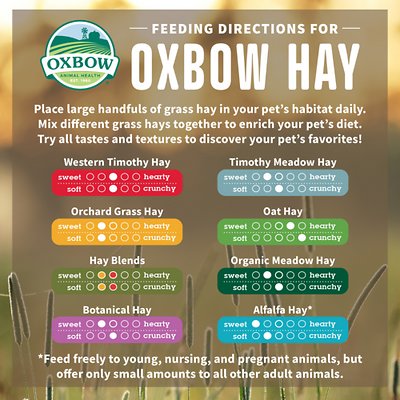 Oxbow Western Timothy Hay Small Animal Food
