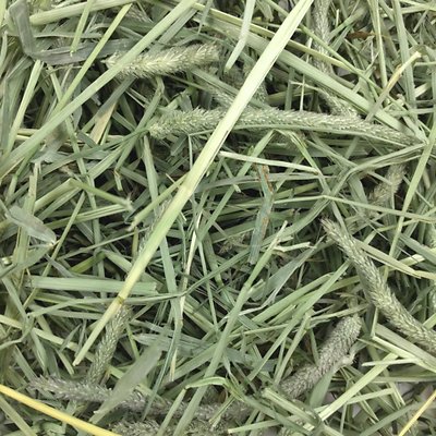 Oxbow Western Timothy Hay Small Animal Food