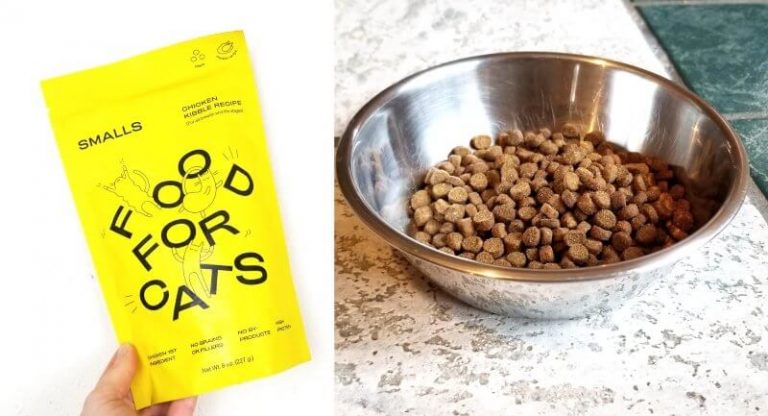 Smalls Cat Food Review 2024 Is It Worth it