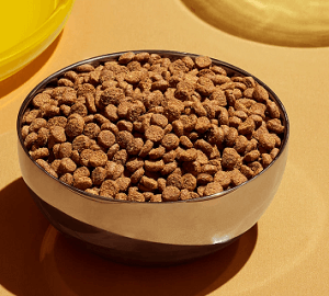 Smalls Chicken Kibble Cat Food