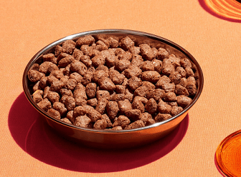 Smalls Freeze-Dried Raw Turkey Cat Food
