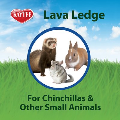 Kaytee Lava Ledge Small Animal Toy