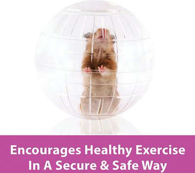 Kaytee Run-About Small Animal Exercise Ball