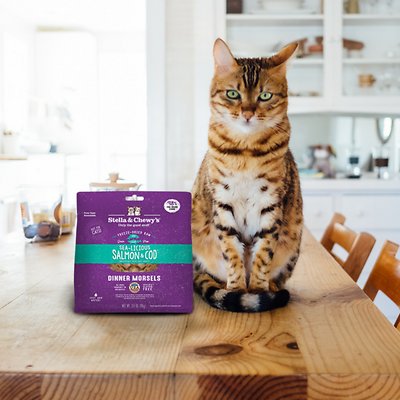 STELLA & CHEWY'S Sea-Licious Salmon & Cod Freeze-Dried Raw Dinner Morsels