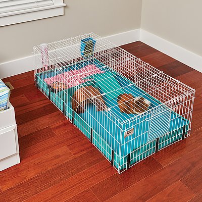 MidWest Guinea Habitat Guinea Pig Home