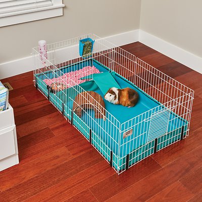 MidWest Guinea Habitat Guinea Pig Home