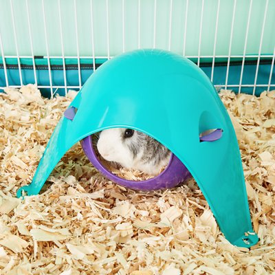 Lixit Critter Space Pod Small Animal Hideout