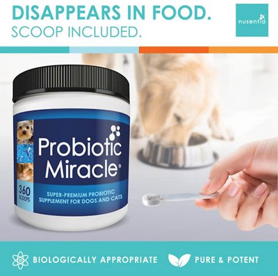 Nusentia Probiotic Miracle Premium Blend Dog & Cat Supplement