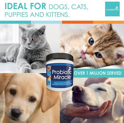 Nusentia Probiotic Miracle Premium Blend Dog & Cat Supplement