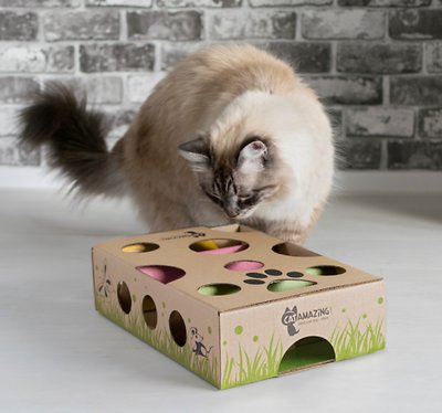 Cat Amazing Interactive Treat Maze & Puzzle Cat Toy