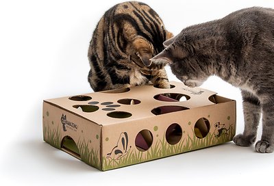 Cat Amazing Interactive Treat Maze & Puzzle Cat Toy