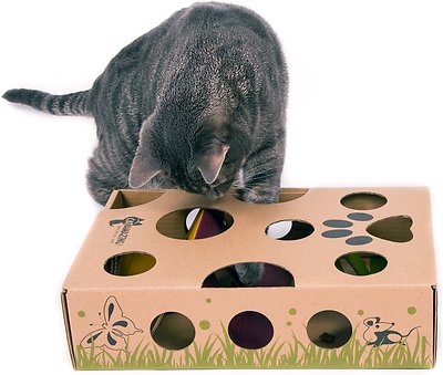 Cat Amazing Interactive Treat Maze & Puzzle Cat Toy