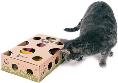 Cat Amazing Interactive Treat Maze & Puzzle Cat Toy