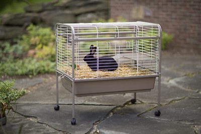 Prevue Pet Products Small Animal Cage, Coco & White
