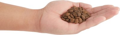 ORIJEN Six Fish Dry Cat Food
