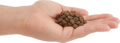 ORIJEN Regional Red Dry Cat Food