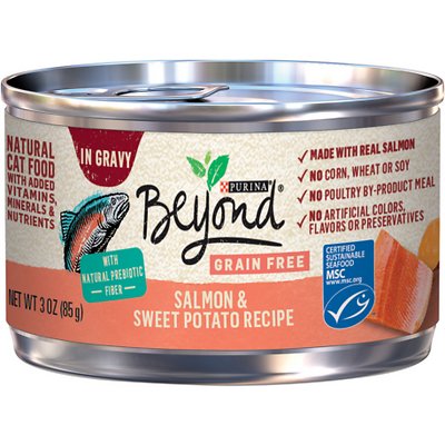 PURINA Beyond Grain-Free Salmon & Sweet Potato Recipe in Gravy