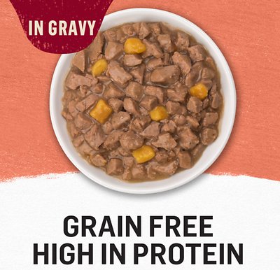PURINA Beyond Grain-Free Salmon & Sweet Potato Recipe in Gravy