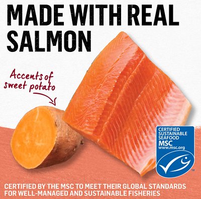 PURINA Beyond Grain-Free Salmon & Sweet Potato Recipe in Gravy