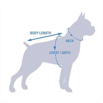 EzyDog Doggy Flotation Device Life Jacket