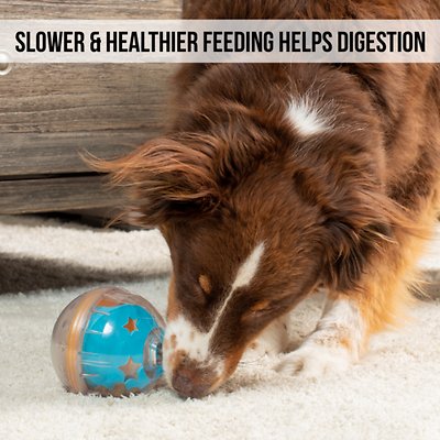 Pet Zone IQ Treat Dispenser Ball Dog Toy