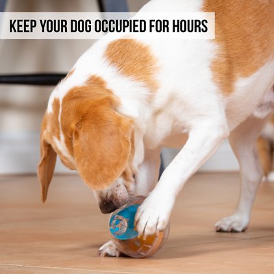 Pet Zone IQ Treat Dispenser Ball Dog Toy