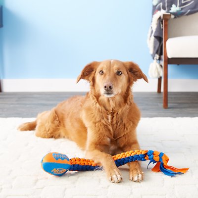 Nerf Dog Squeaker Vortex Chain Tug Dog Toy