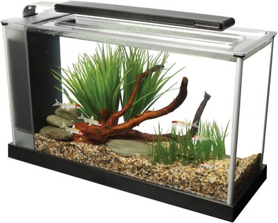 Fluval Spec Aquarium Kit