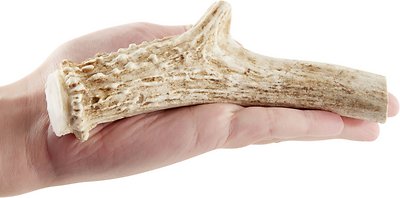 Top Dog Chews Premium Large Antler Variety Pack Dog Treats