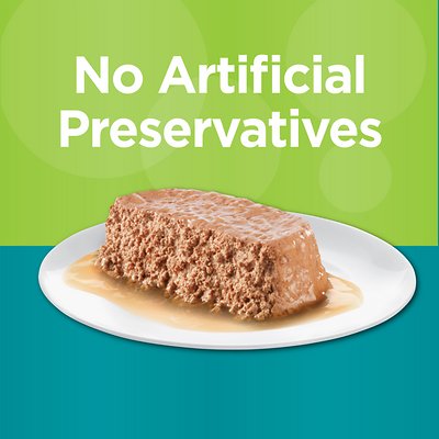 IAMS Perfect Portions Indoor Pate Turkey Recipe