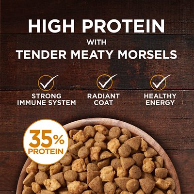 PURINA ONE True Instinct Natural Real Chicken Plus Vitamins & Minerals Grain-Free Dry Food