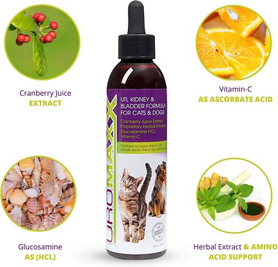 Animal Nutritional Products UroMAXX Dog & Cat Supplement