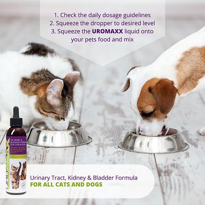 Animal Nutritional Products UroMAXX Dog & Cat Supplement