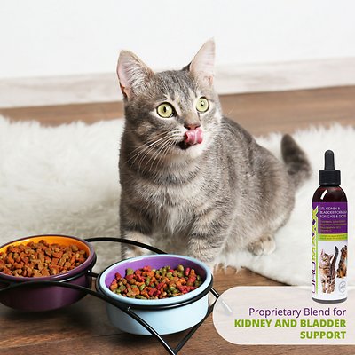 Animal Nutritional Products UroMAXX Dog & Cat Supplement