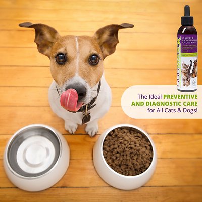 Animal Nutritional Products UroMAXX Dog & Cat Supplement