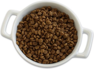 CASTOR & POLLUX Grain-Free Organic Kitten Recipe