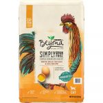 PURINA BEYOND White Meat Chicken & Egg Recipe Grain-Free Dry Cat Food