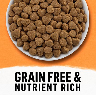 PURINA BEYOND White Meat Chicken & Egg Recipe Grain-Free Dry Cat Food
